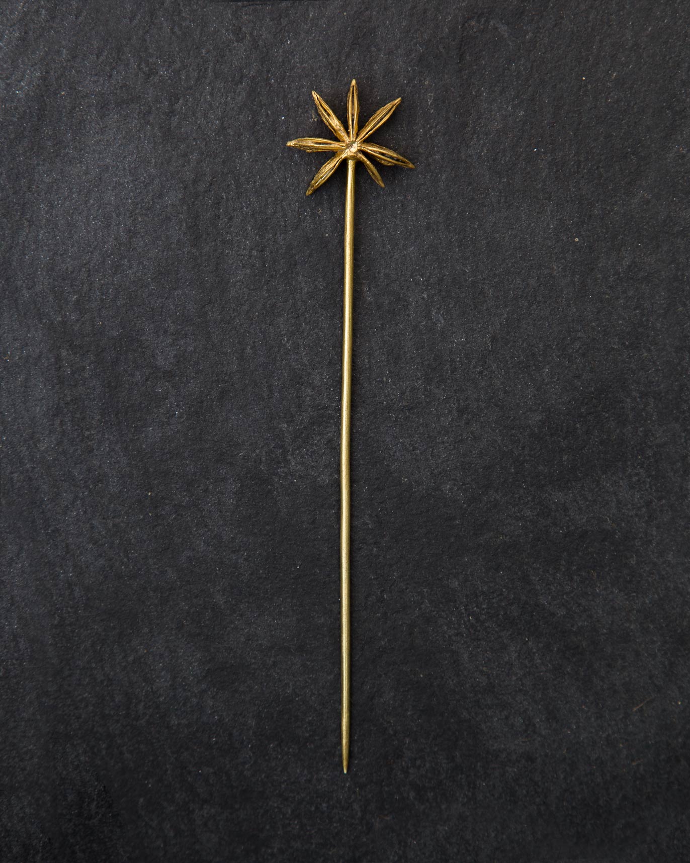 Star anise hair pin