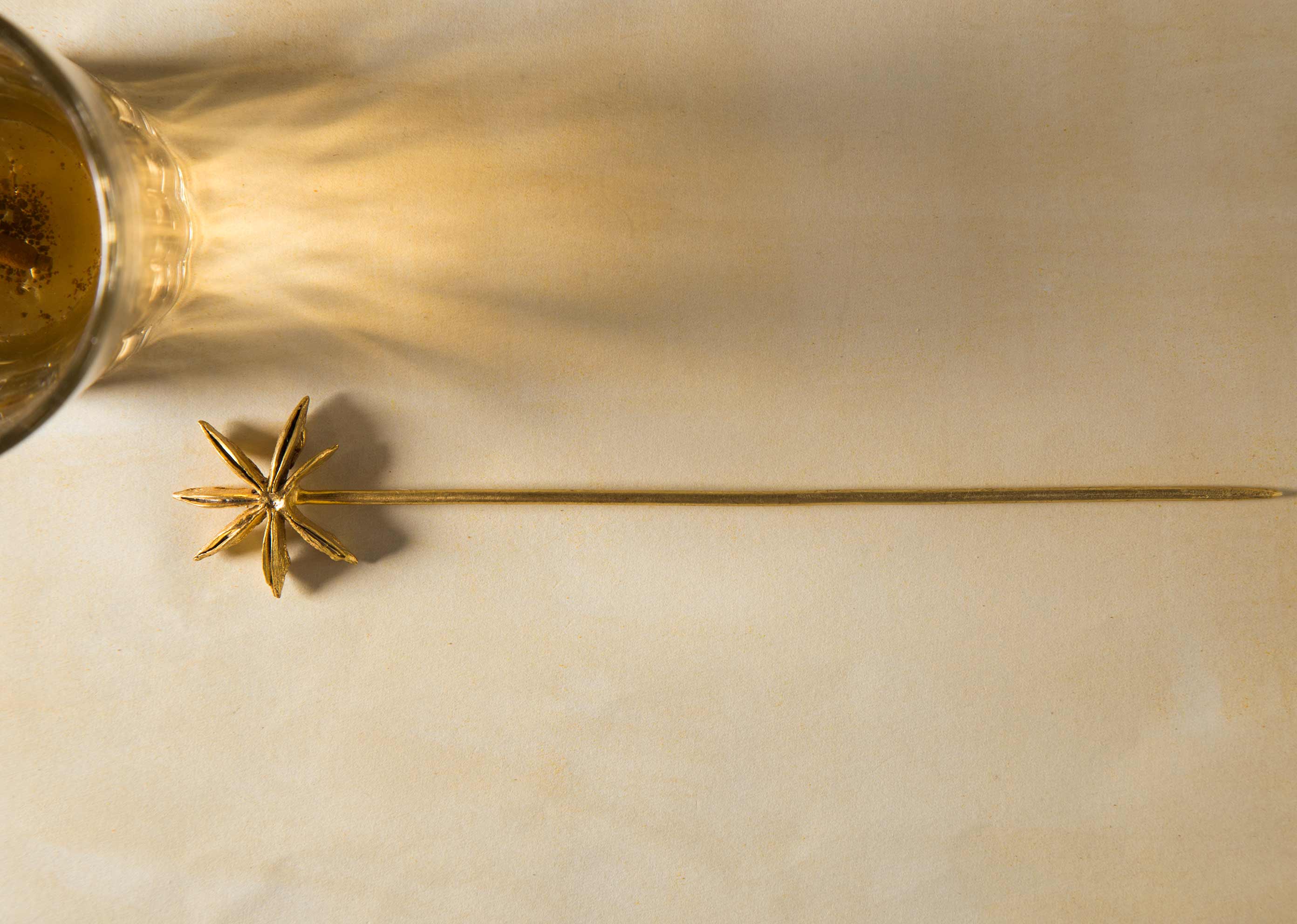 Star anise hair pin