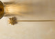 Star anise hair pin