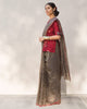 Zari Stripe Sari