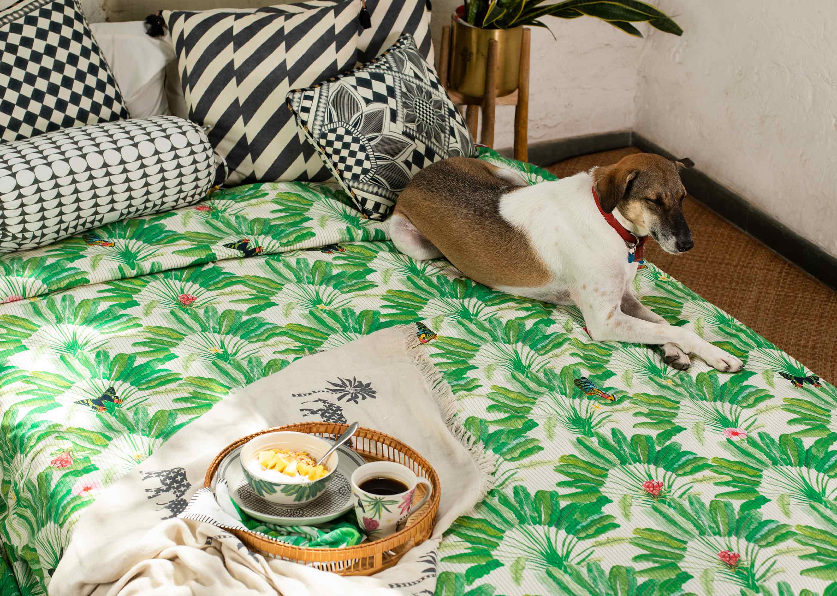 Ravenala Bedcover - King