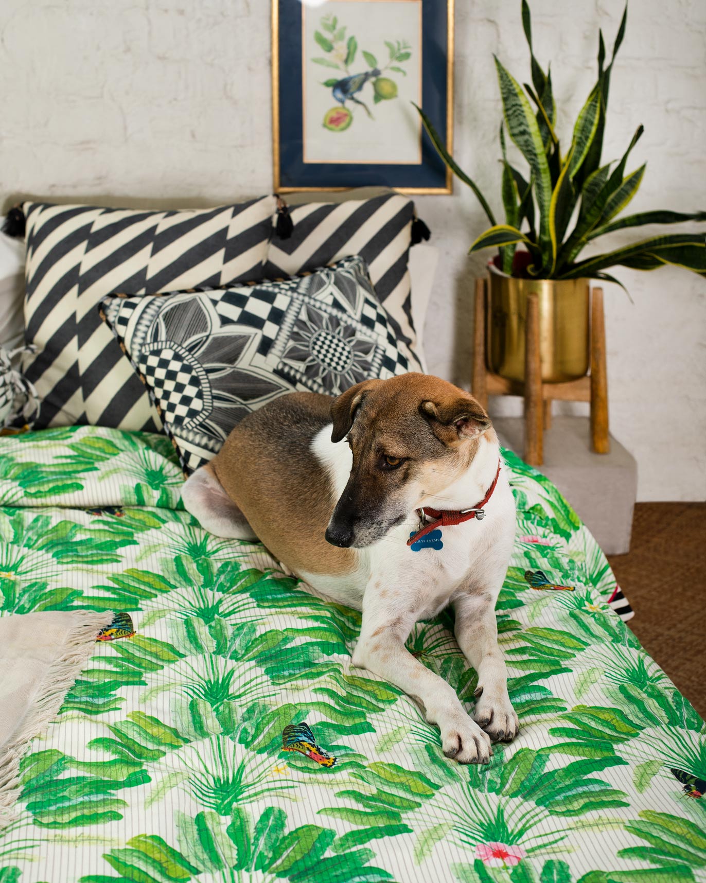Ravenala Bedcover - King