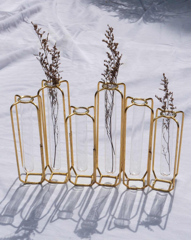 Test Tube Vase (Set of 6)