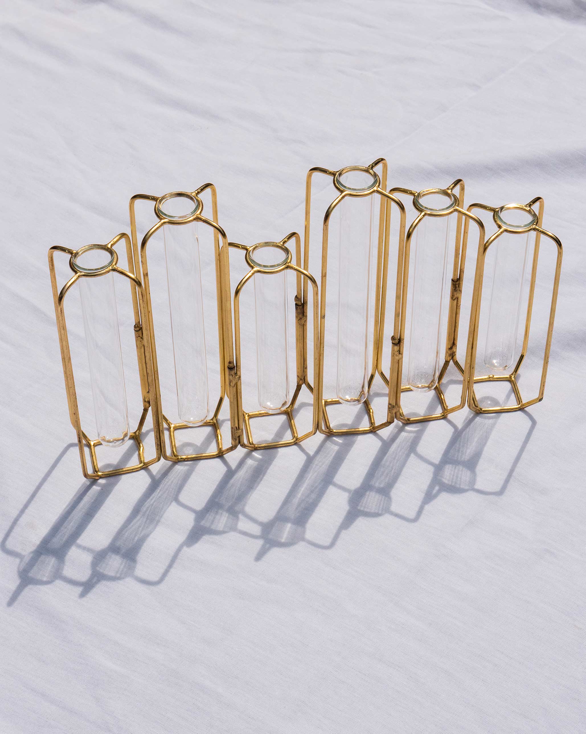 Test Tube Vase (Set of 6)