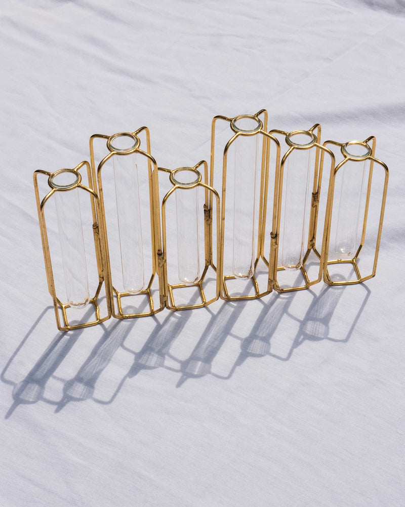 Test Tube Vase (Set of 6)