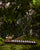 Haathi Incense Holder