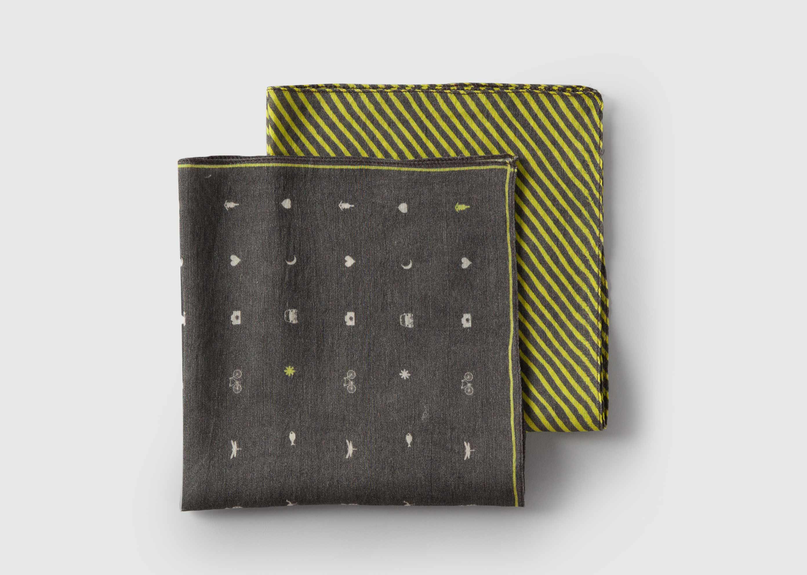 Grassroots Pocket Square (Set of 2)