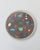 Nancowry Round Platter