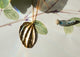 Leaf charm