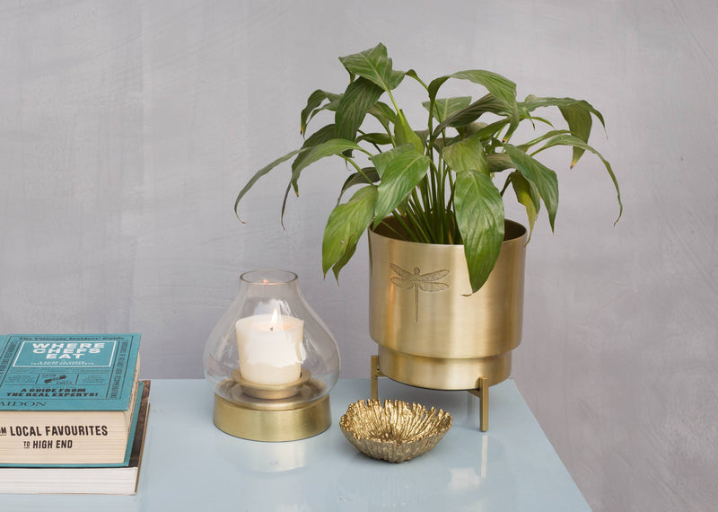 Dune Planter
