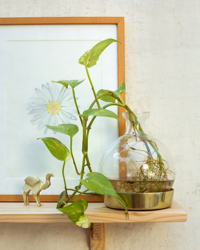 Mirage Vase