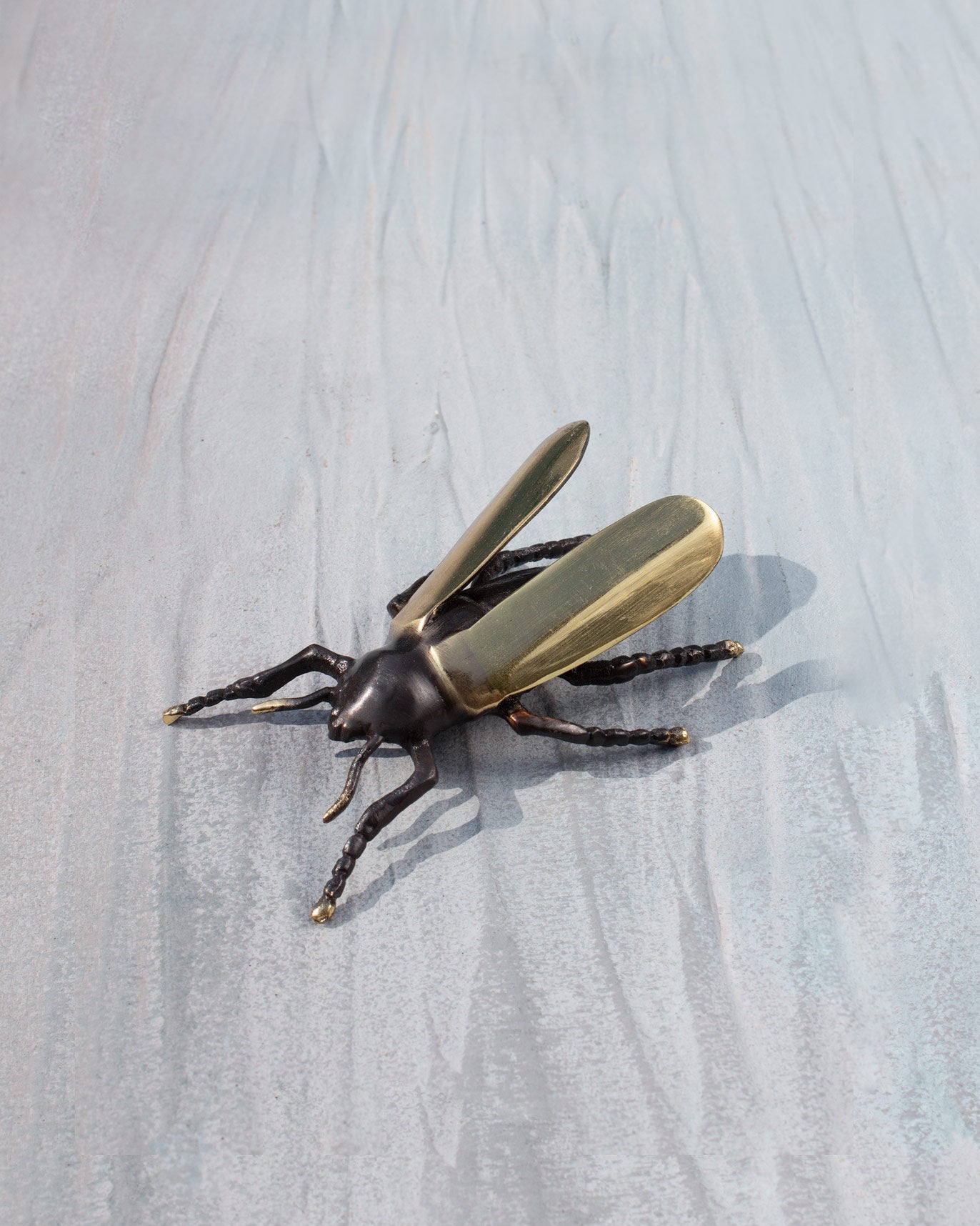 Bugsy Decorative