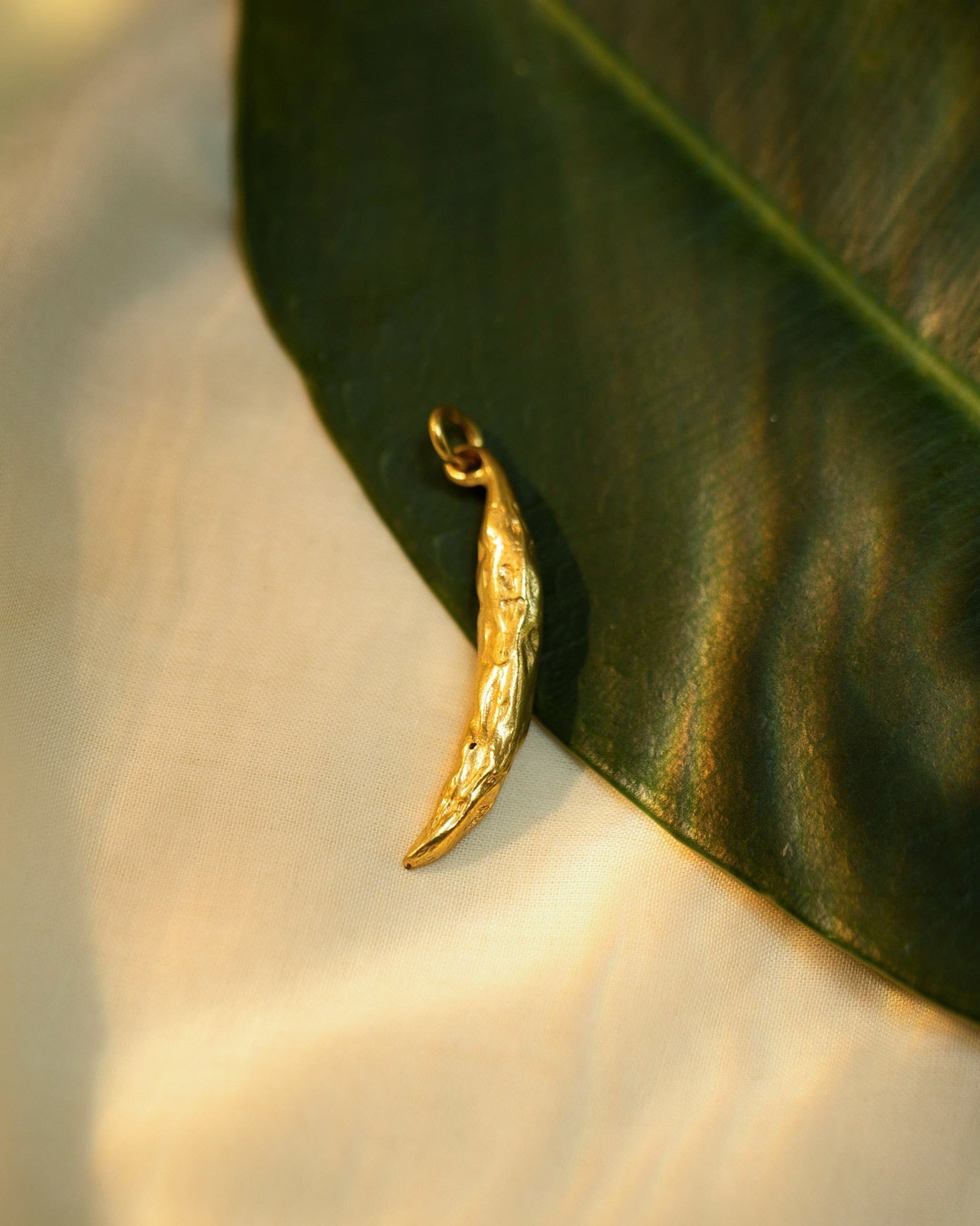 Chilli charm - small
