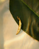 Chilli charm - small