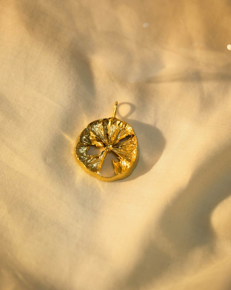 Lemon slice charm