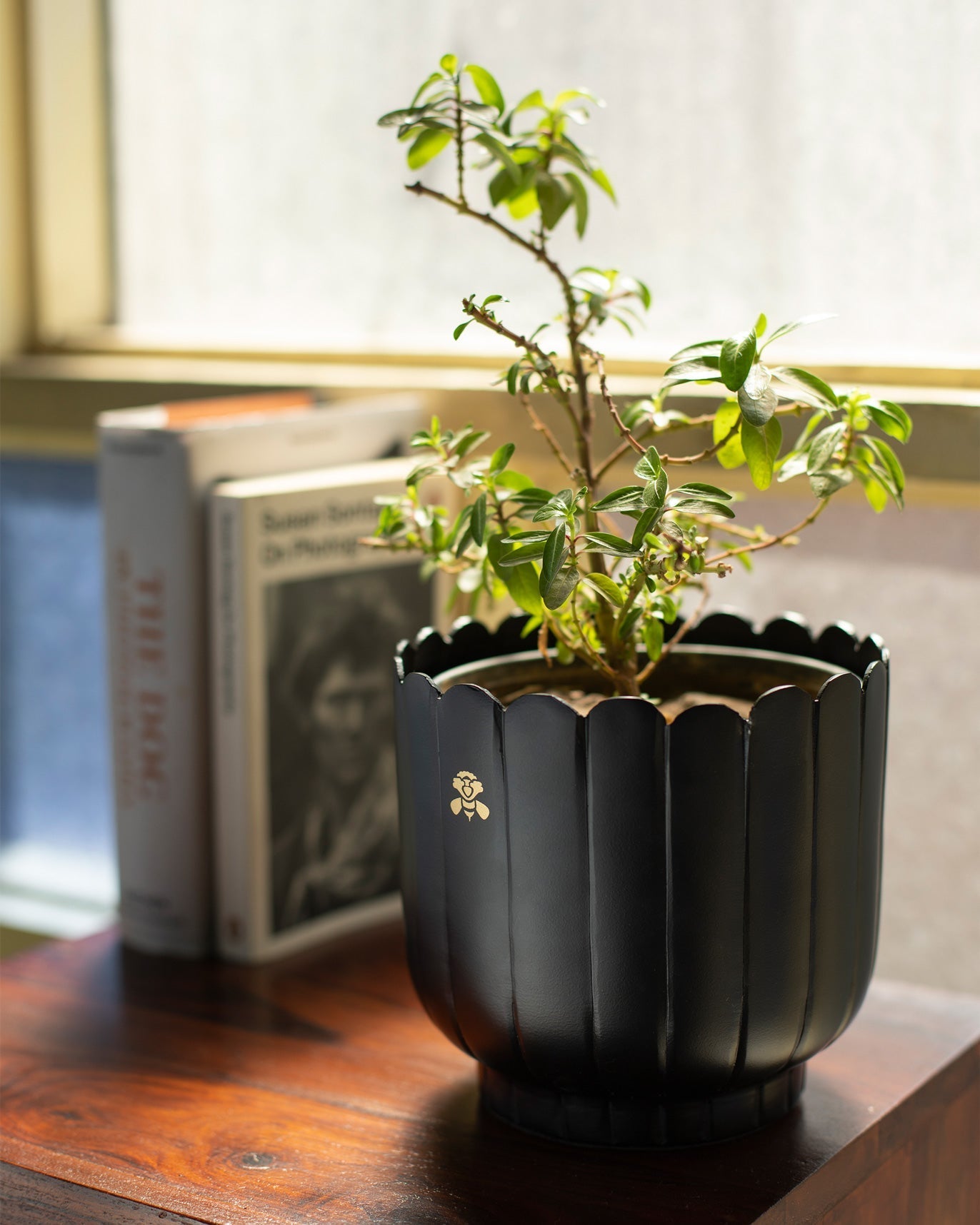 Nadi Planter