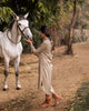 Pristine Stripe Dress - Tan
