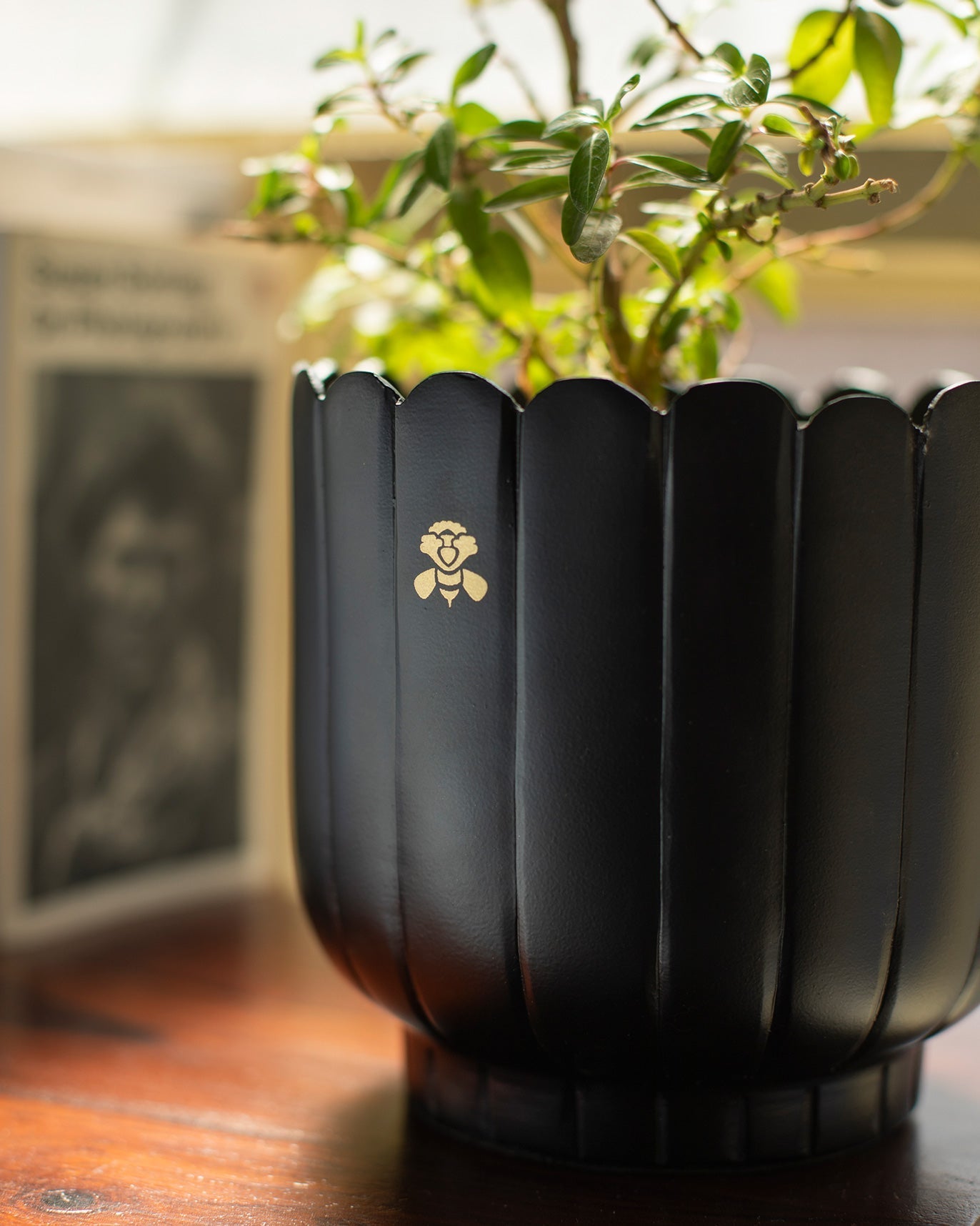 Nadi Planter