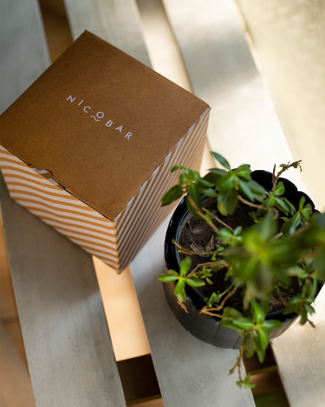 Nadi Planter