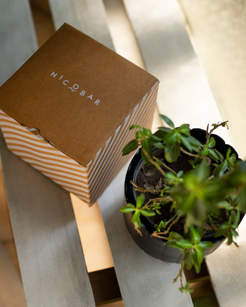 Nadi Planter
