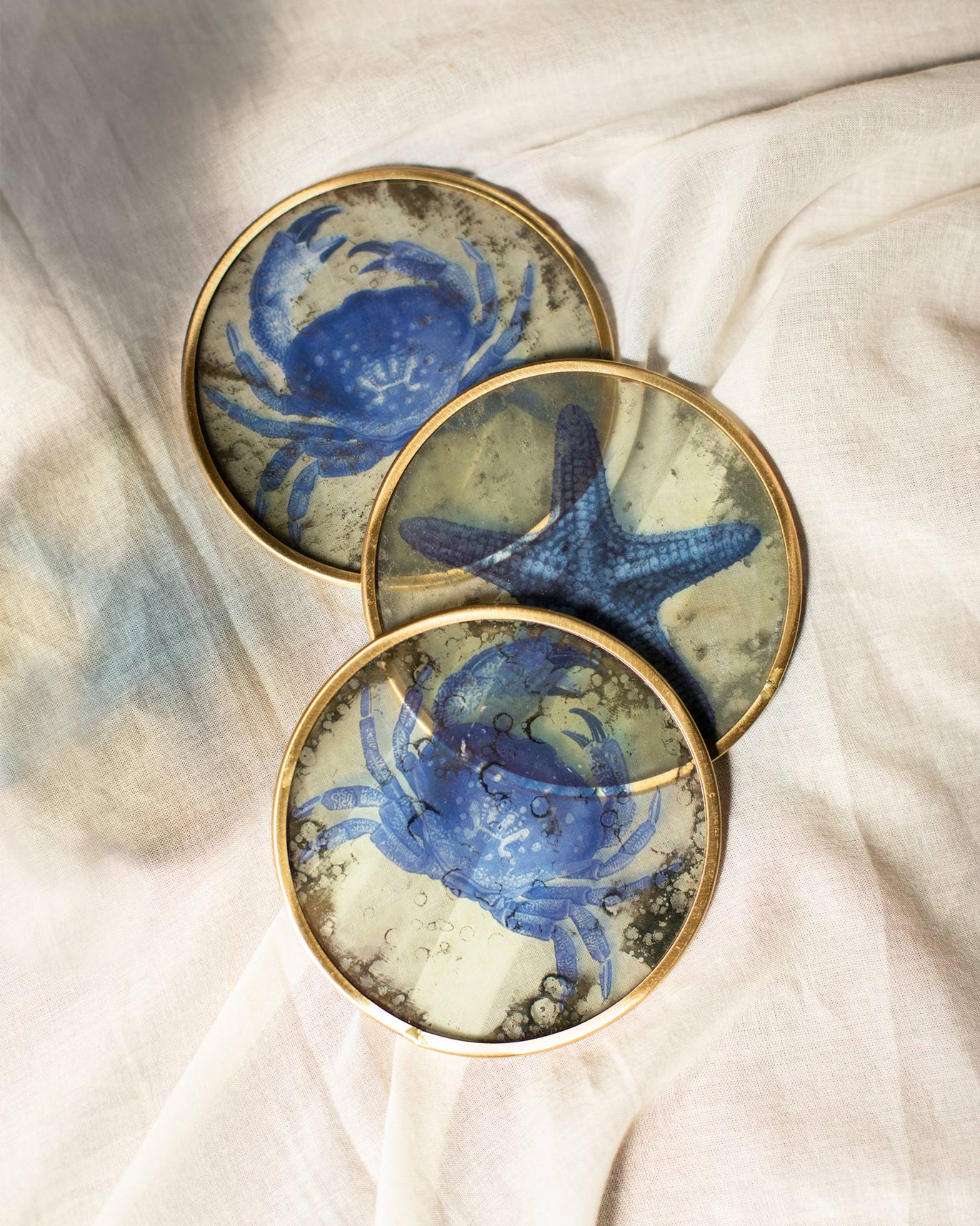 Oceanum Coasters (Set of 4)