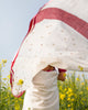 Mahi Sari - Ivory & Red